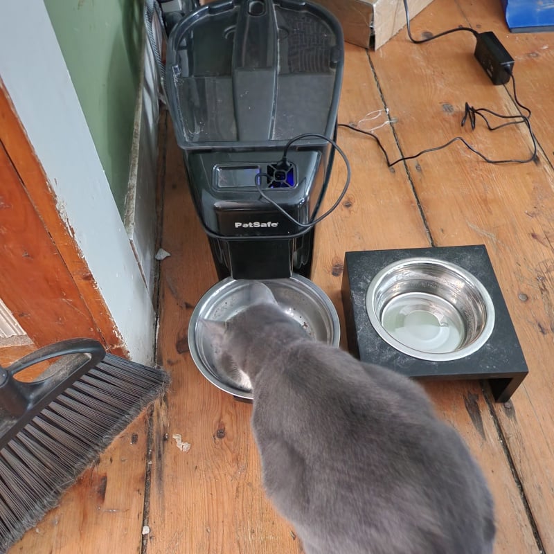 automatic-feeder